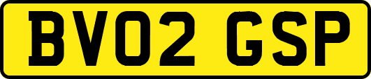 BV02GSP