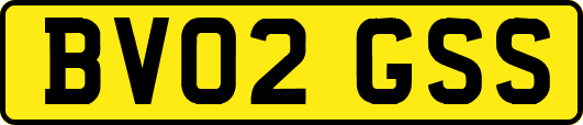 BV02GSS