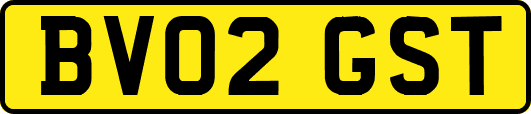 BV02GST