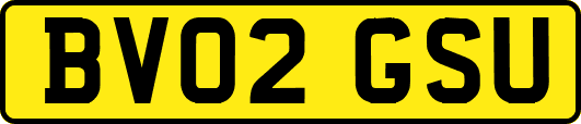 BV02GSU