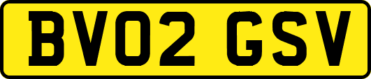 BV02GSV