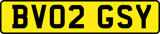 BV02GSY