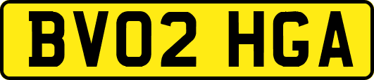 BV02HGA