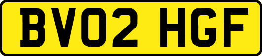 BV02HGF