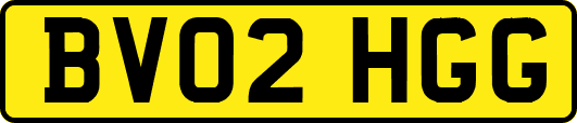 BV02HGG