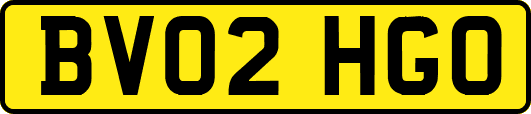 BV02HGO