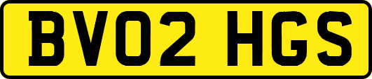 BV02HGS