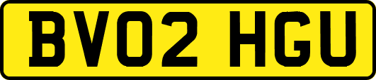 BV02HGU