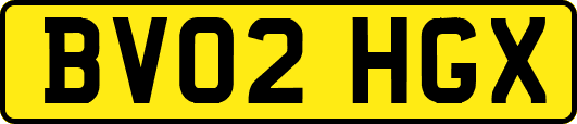 BV02HGX