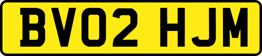 BV02HJM