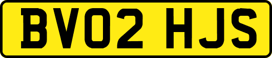 BV02HJS