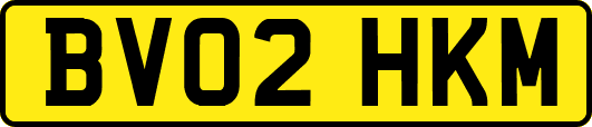 BV02HKM