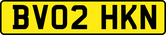 BV02HKN