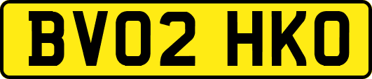 BV02HKO