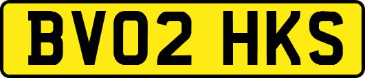 BV02HKS