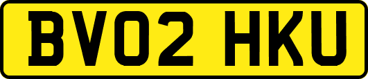 BV02HKU