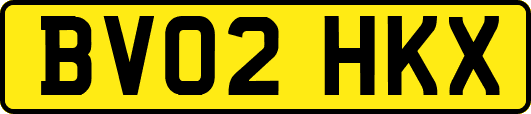 BV02HKX