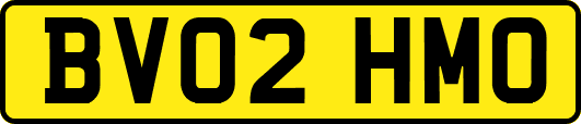 BV02HMO