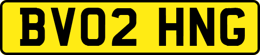 BV02HNG