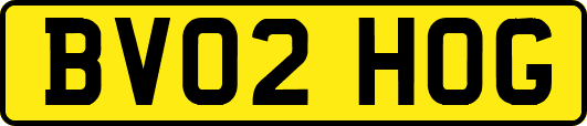 BV02HOG