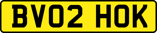 BV02HOK