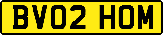 BV02HOM