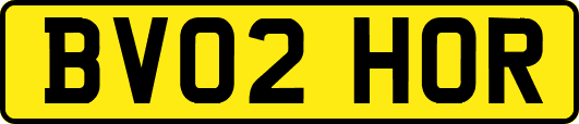 BV02HOR