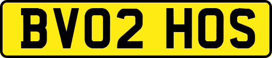 BV02HOS