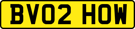 BV02HOW