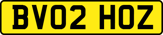 BV02HOZ