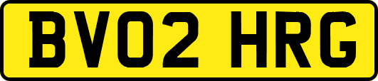 BV02HRG
