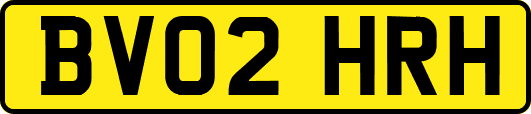 BV02HRH