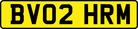 BV02HRM