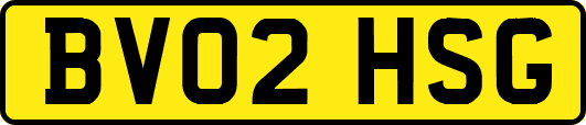 BV02HSG