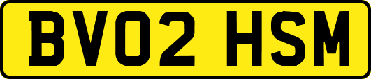 BV02HSM