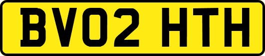 BV02HTH
