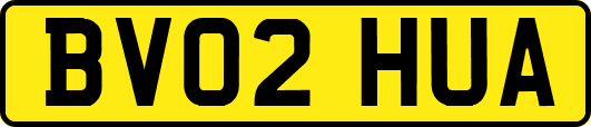 BV02HUA