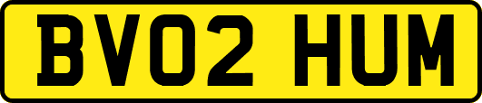 BV02HUM