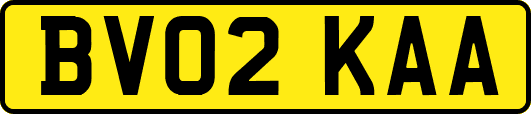 BV02KAA