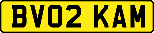 BV02KAM