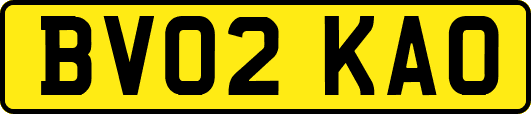 BV02KAO