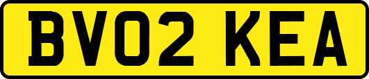 BV02KEA