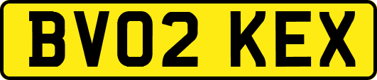 BV02KEX