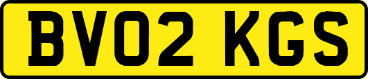 BV02KGS