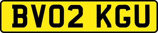 BV02KGU