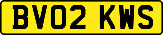 BV02KWS
