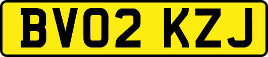 BV02KZJ