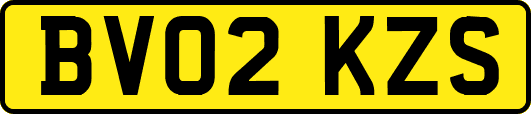 BV02KZS