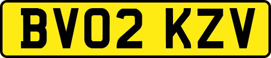 BV02KZV