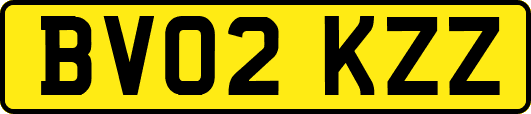 BV02KZZ